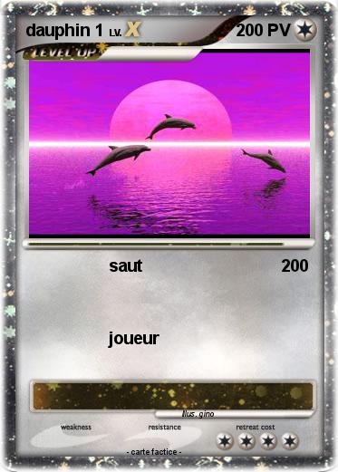 Pokemon dauphin 1