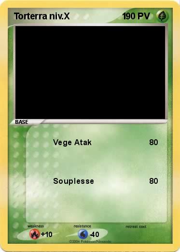 Pokemon Torterra niv.X                     1