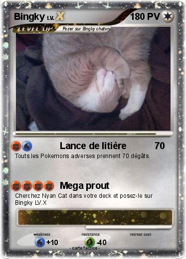 Pokemon Bingky
