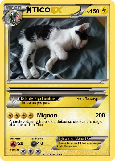 Pokemon TICO