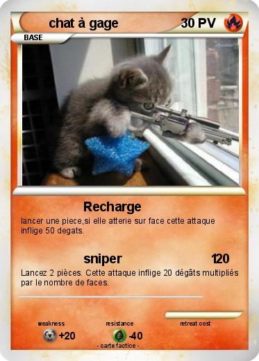 Pokemon chat à gage