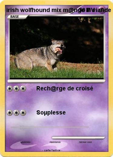 Pokemon irish wolfhound mix m@nge la viande