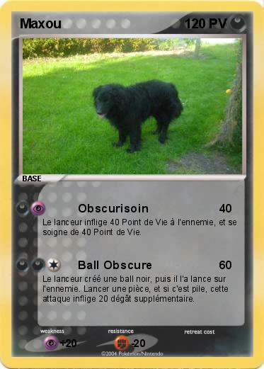Pokemon Maxou