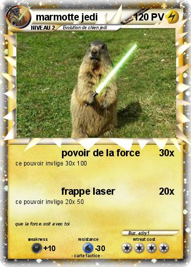Pokemon marmotte jedi