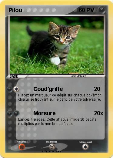 Pokemon Pilou