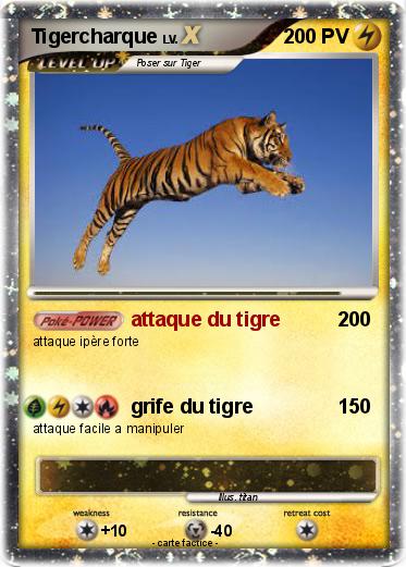 Pokemon Tigercharque