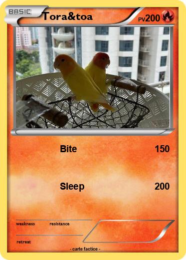 Pokemon Tora&toa