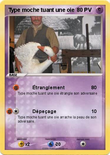 Pokemon Type moche tuant une oie