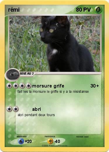 Pokemon rémi