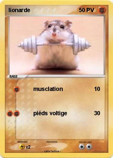 Pokemon lionarde