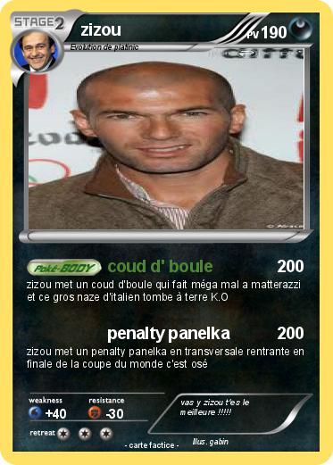 Pokemon zizou