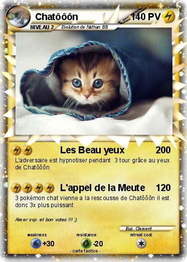 Pokemon Chatôôôn