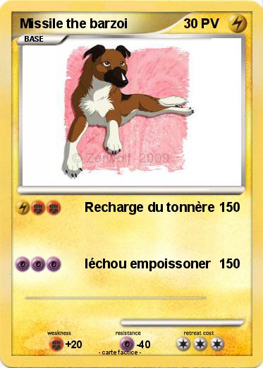 Pokemon Missile the barzoi