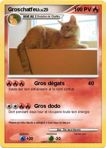 Pokemon Groschatfeu