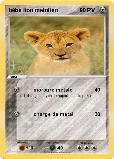 Pokemon bébé lion metolien