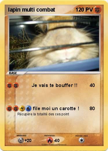 Pokemon lapin multi combat