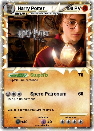 Pokemon Harry Potter