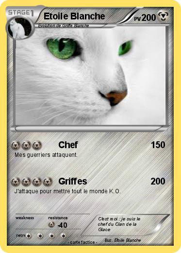 Pokemon Etoile Blanche
