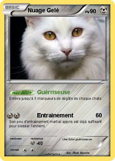 Pokemon Nuage Gelé
