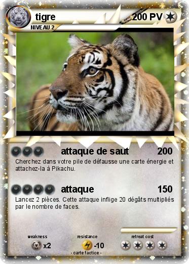 Pokemon tigre