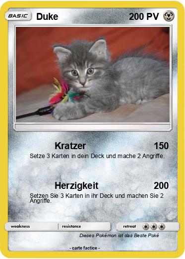 Pokemon Duke