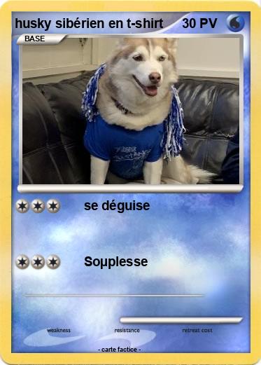 Pokemon husky sibérien en t-shirt