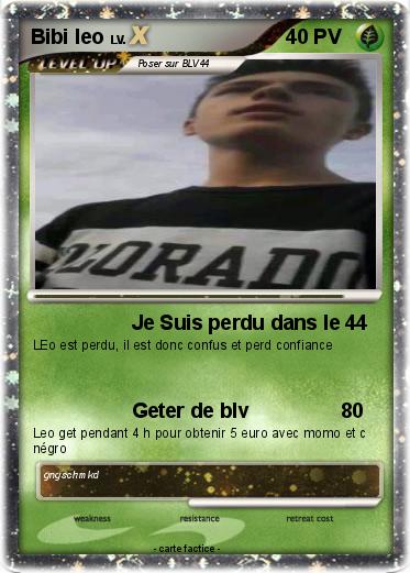 Pokemon Bibi leo