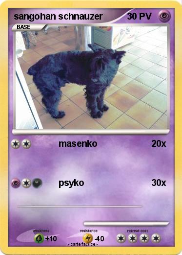 Pokemon sangohan schnauzer