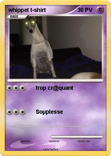 Pokemon whippet t-shirt