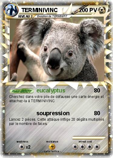 Pokemon TERMINIVINC