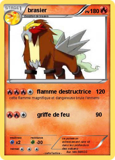 Pokemon brasier