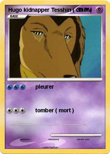 Pokemon Hugo kidnapper Tesshin ( chiot )