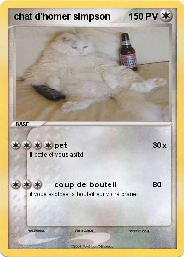 Pokemon chat d'homer simpson