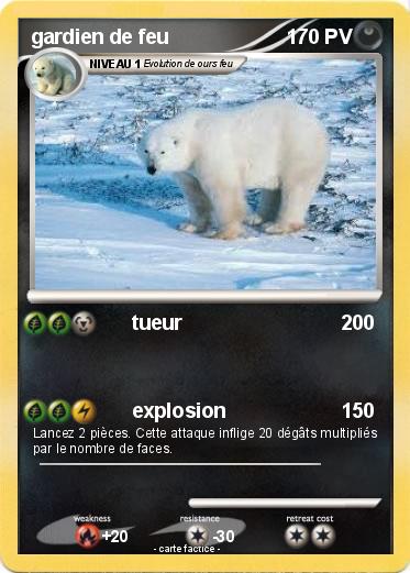 Pokemon gardien de feu