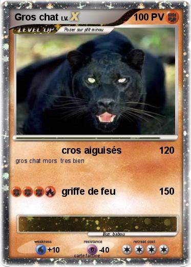 Pokemon Gros chat