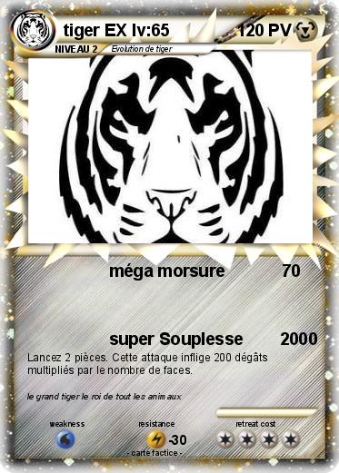 Pokemon tiger EX lv:65