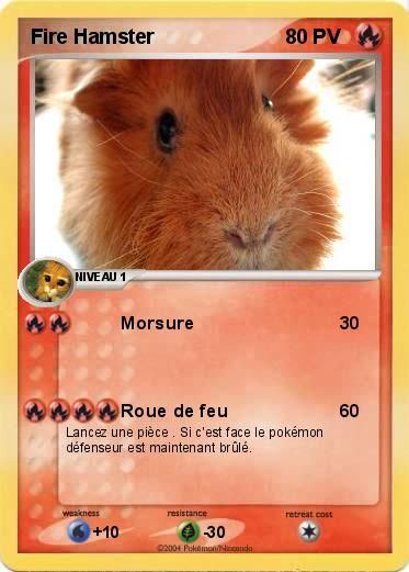 Pokemon Fire Hamster