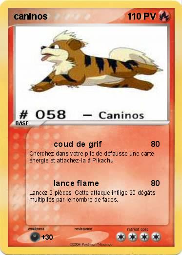 Pokemon caninos