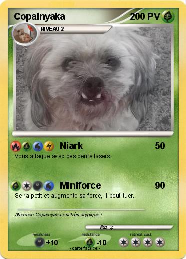 Pokemon Copainyaka