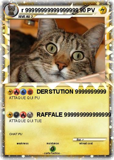 Pokemon r 99999999999999999