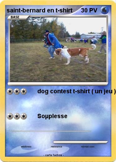 Pokemon saint-bernard en t-shirt