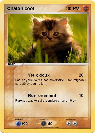 Pokemon Chaton cool