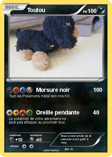 Pokemon Toutou