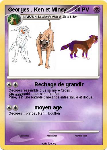 Pokemon Georges , Ken et Miney