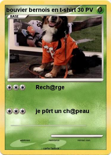 Pokemon bouvier bernois en t-shirt