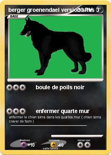 Pokemon berger groenendael version sims 3