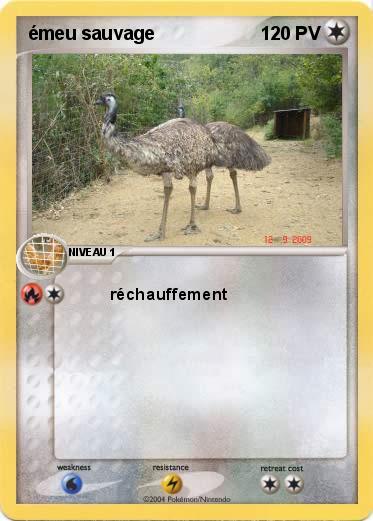 Pokemon émeu sauvage