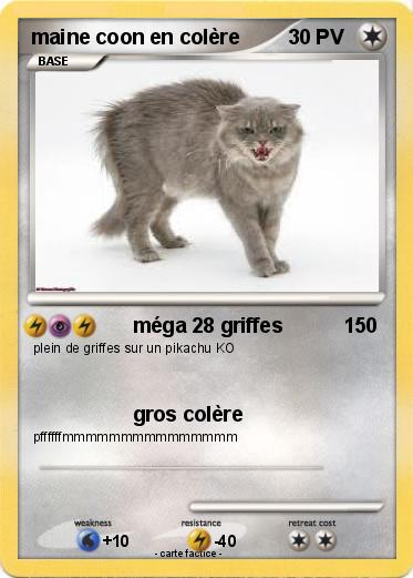 Pokemon maine coon en colère