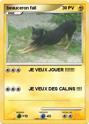 Pokemon beauceron fail