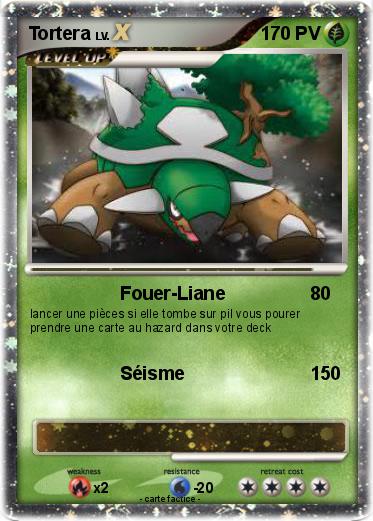 Pokemon Tortera